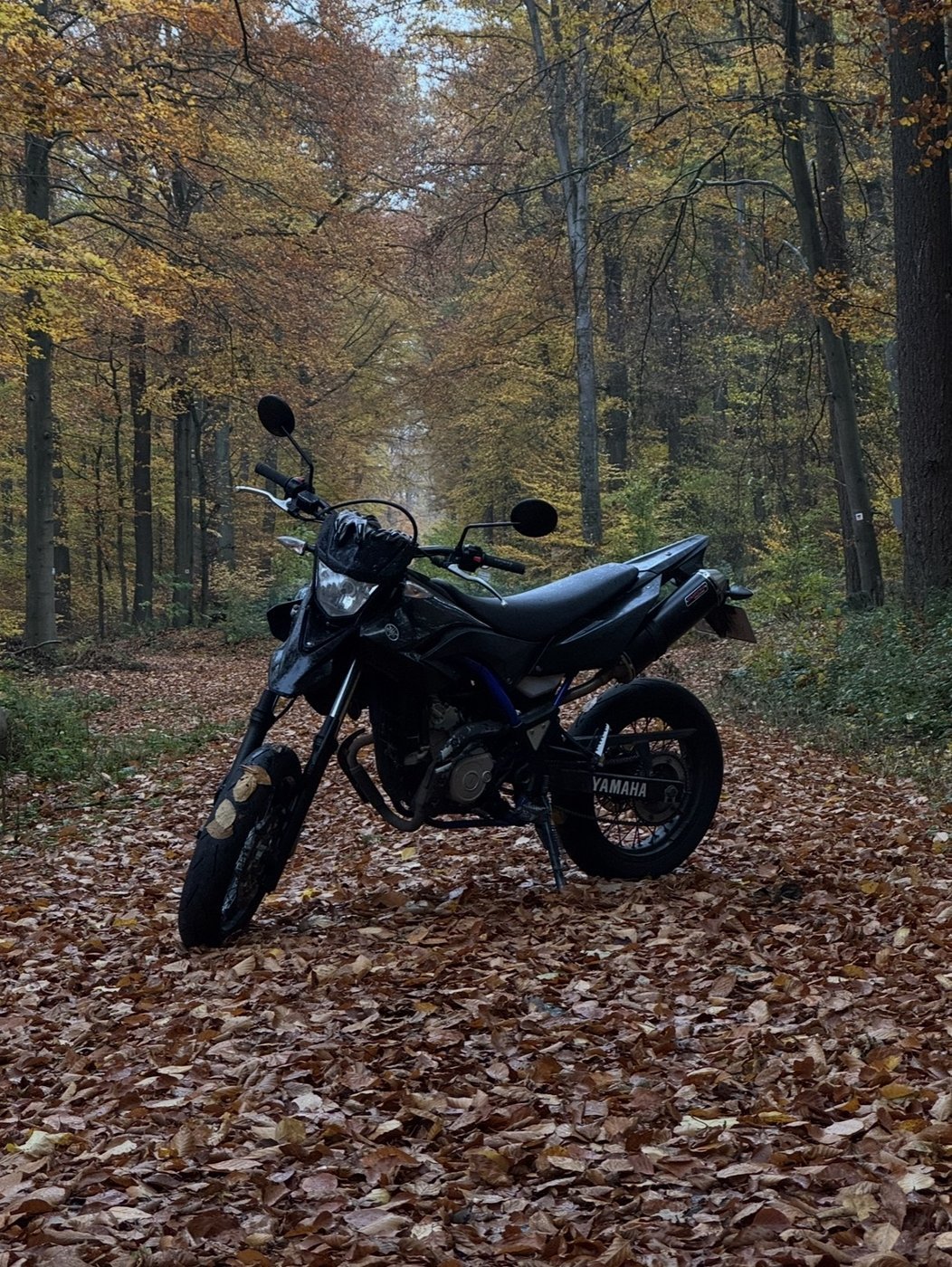 Yamaha WR 125X – Foto 5 aus dem privaten Album